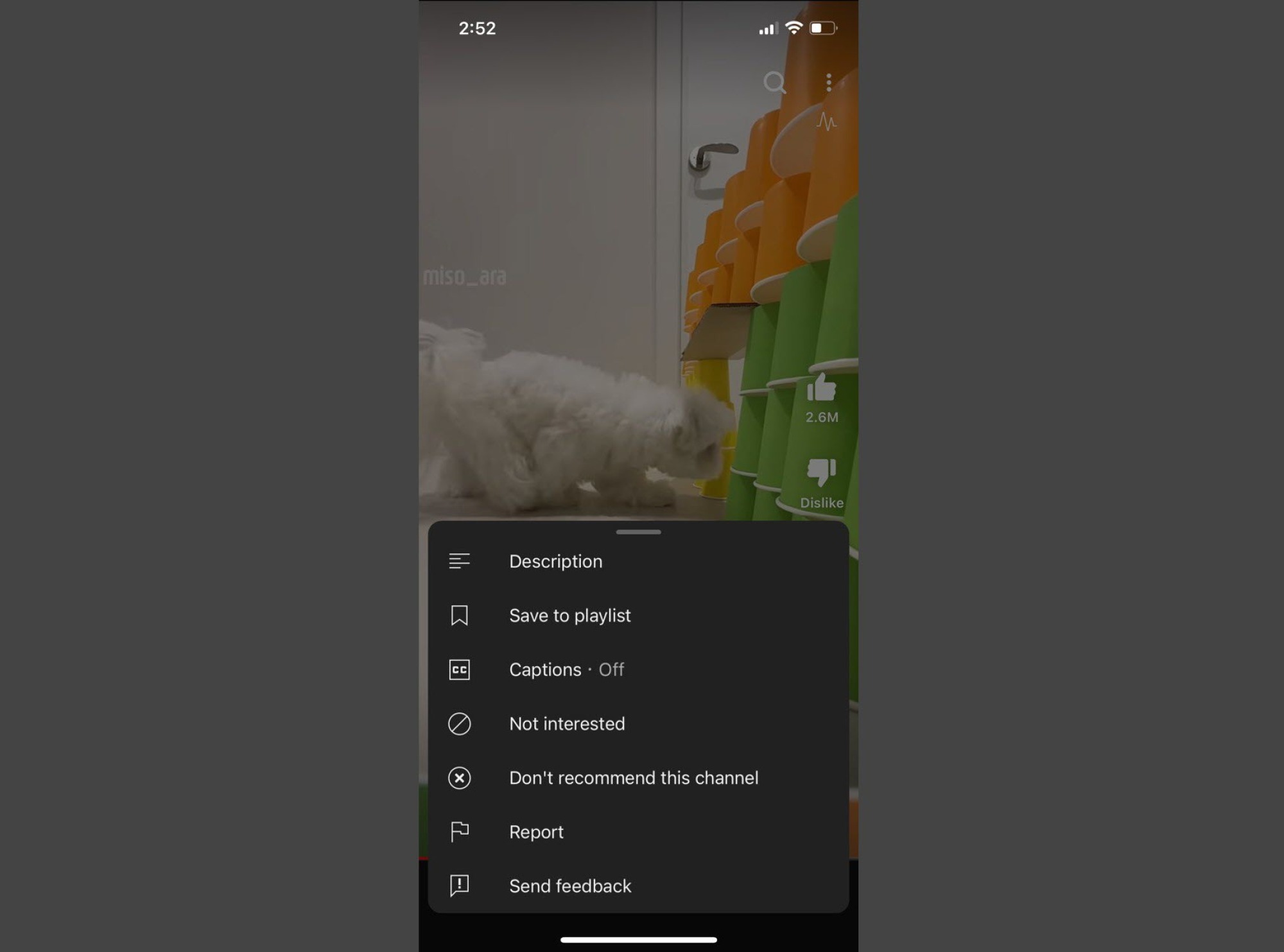 YouTube Shorts sur l'application mobile iOS