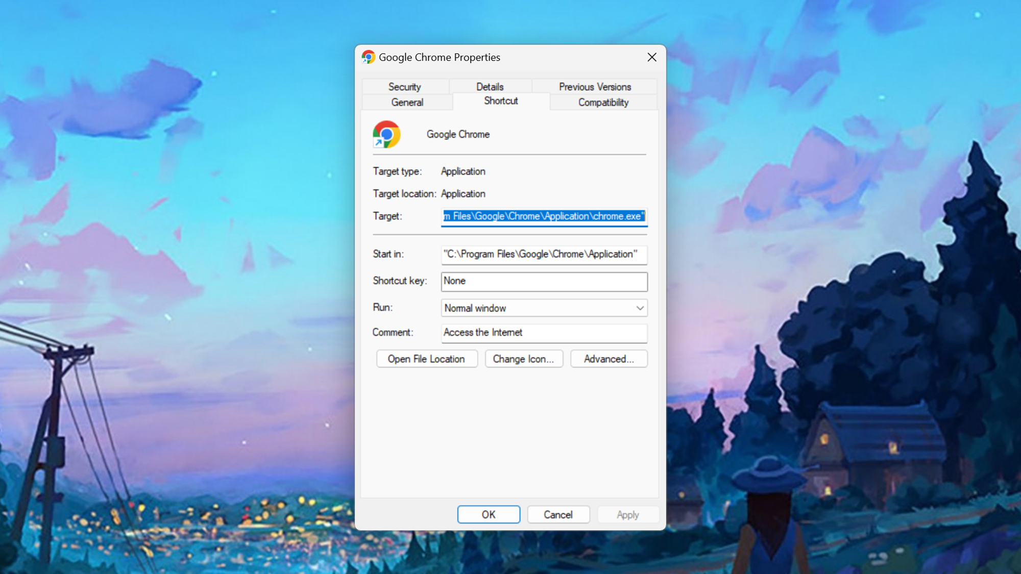 Propriétés de Google Chrome