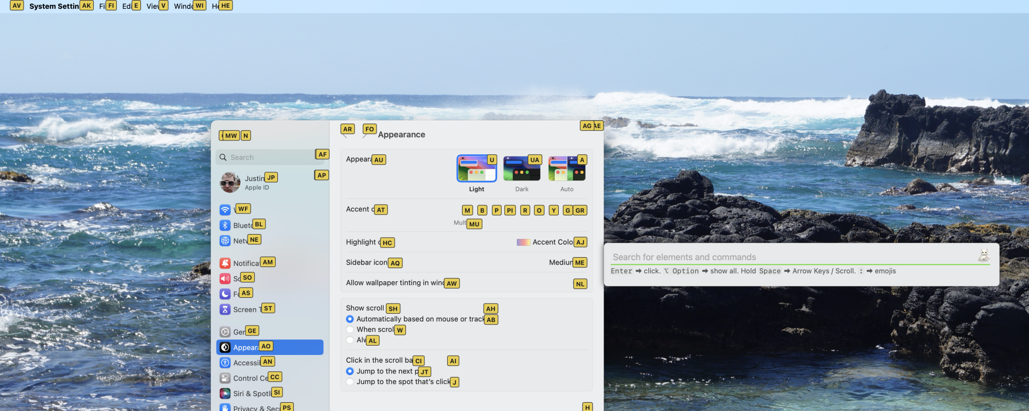 La section Apparence des paramètres système sur Mac, couverte de boîtes jaunes avec des codes à deux lettres. Cela vous permet de cliquer rapidement sur n'importe quel élément dans la fenêtre.