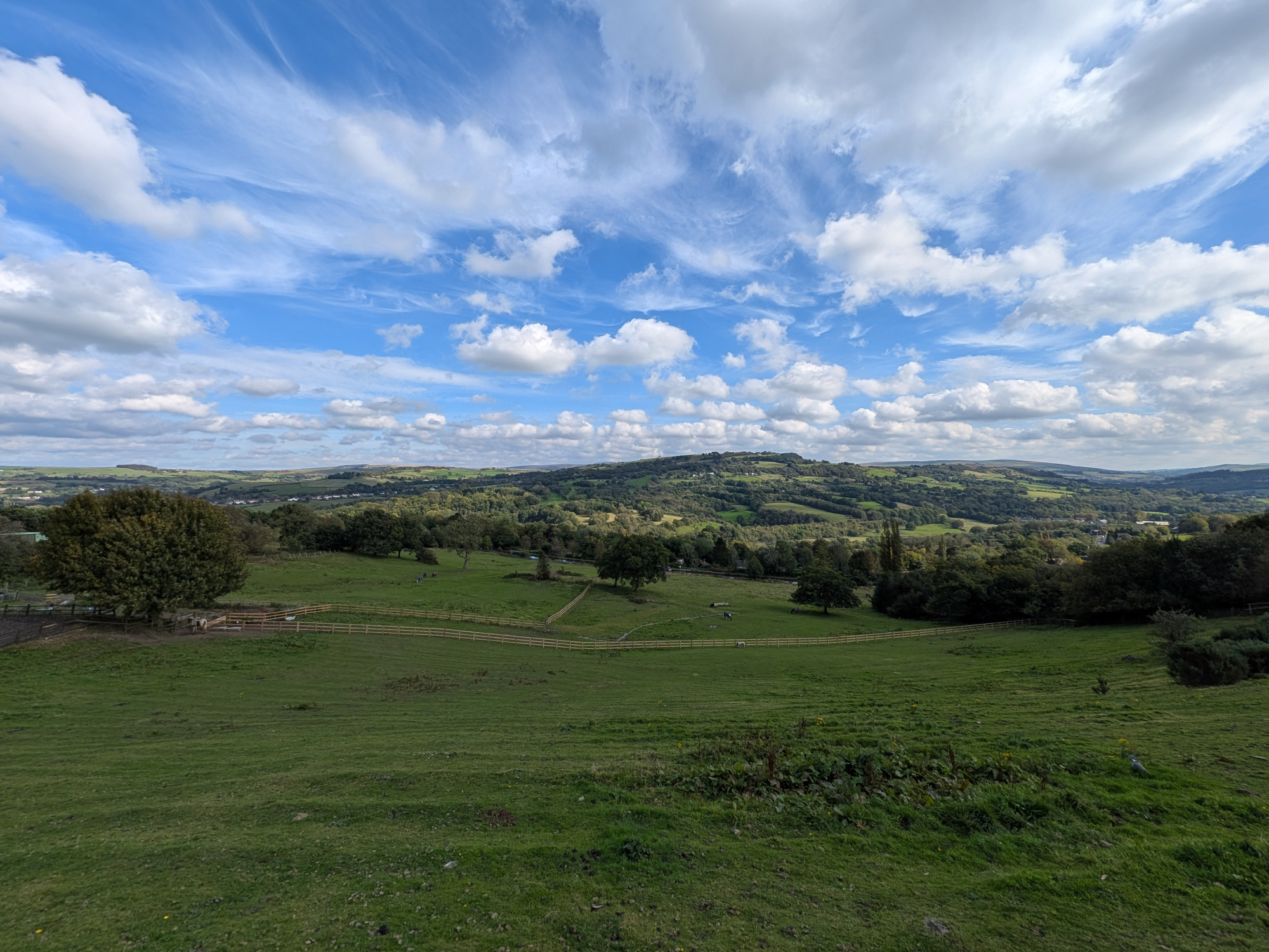 Échantillon de la caméra Google Pixel 9 Pro Fold