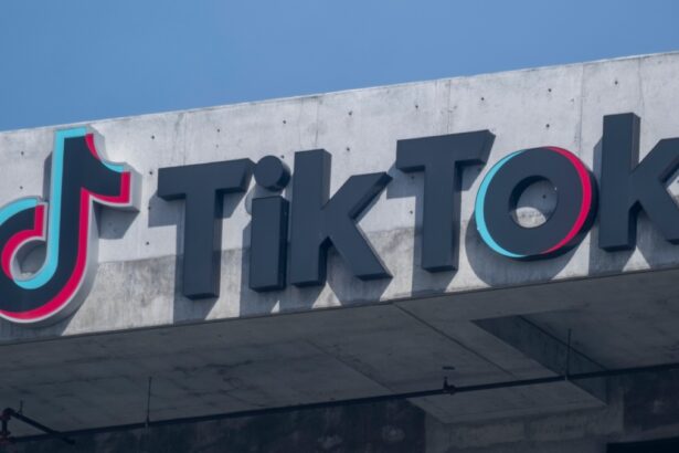 Les avantages et les inconvénients des meilleures alternatives à TikTok
