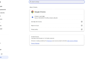 Mettez à jour Chrome dès que possible, encore une fois.