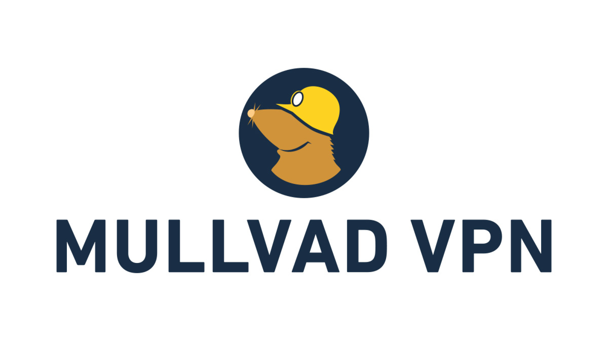 Une capture d'écran du logo de Mullvad VPN.