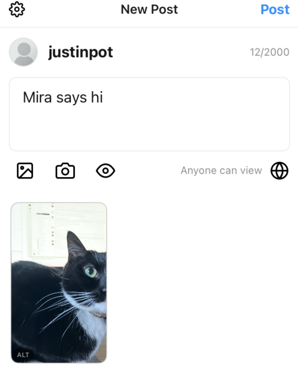 L'interface utilisateur simple pour télécharger une photo, que vous pouvez prendre dans l'application ou partager depuis la bibliothèque de photos de votre téléphone.