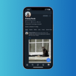 Comment commencer avec Bluesky, le rival de Twitter/X que tout le monde s’arrache.