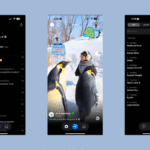 Bluesky a désormais sa propre version de TikTok