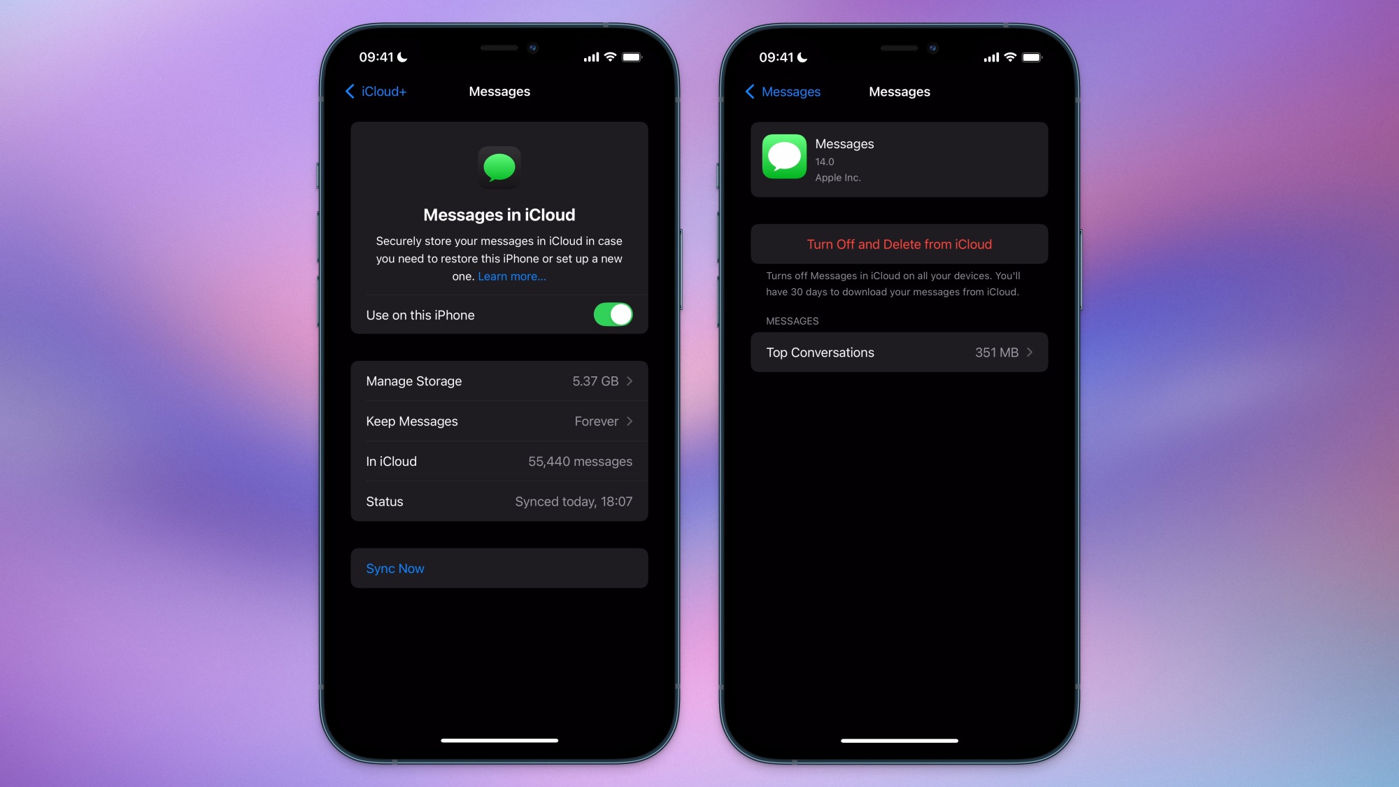 Deux captures d'écran de l'onglet Messages dans iCloud, montrant comment supprimer des messages stockés dans le cloud.